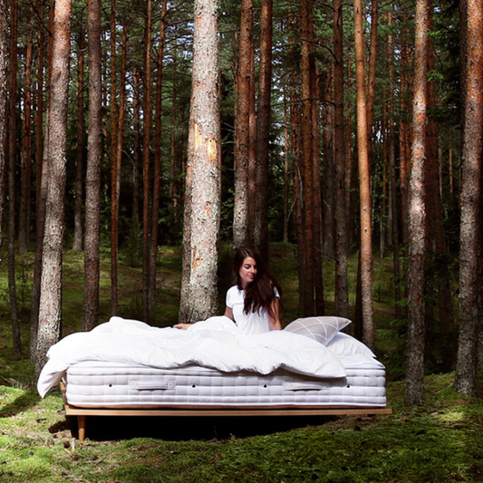 CONTINENTAL MATTRESS