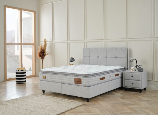 בעגאָניאַ גריי