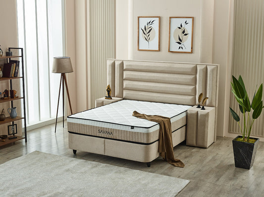 סאַוואַנאַ